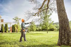 Best Tree Trimming and Pruning  in Seven Points, TX